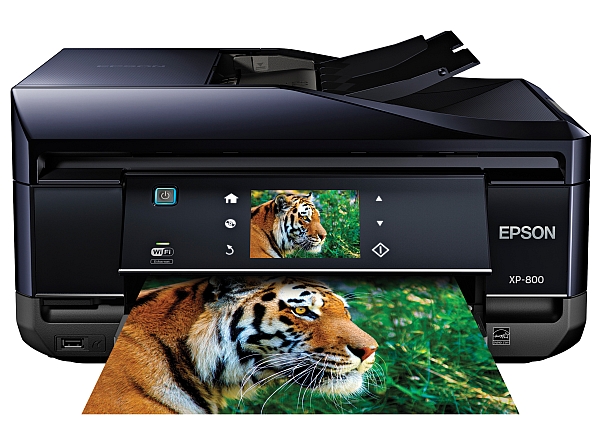 epson xp800 6